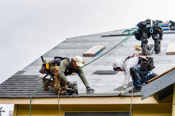Professional Roof Inspection technician working in Slaterville Springs, NY